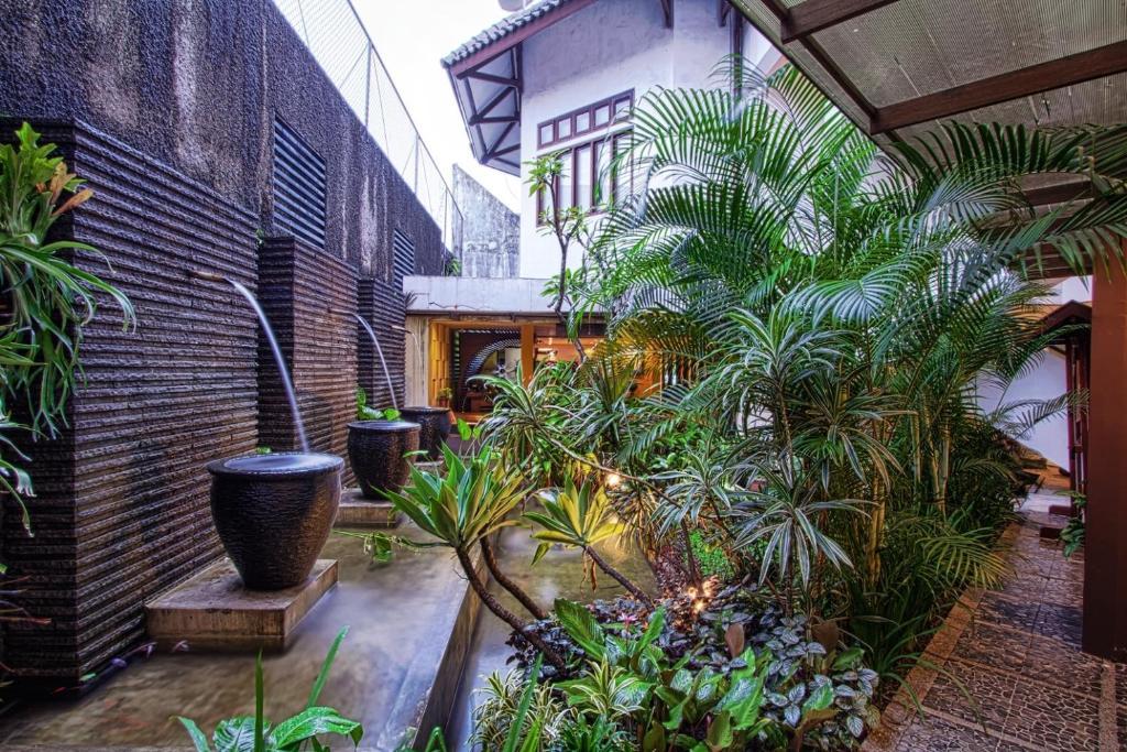 Montana Malang